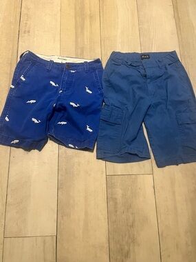 Abercrombie & Fitch kids Blue Cargo Shorts with Whale Embroidery & Place shorts